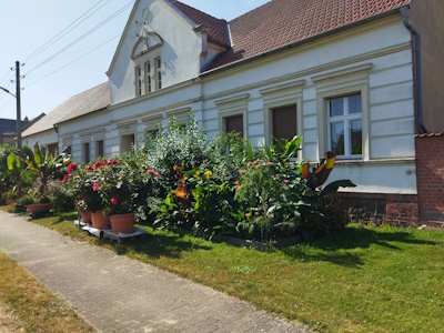 AI Bild 3
